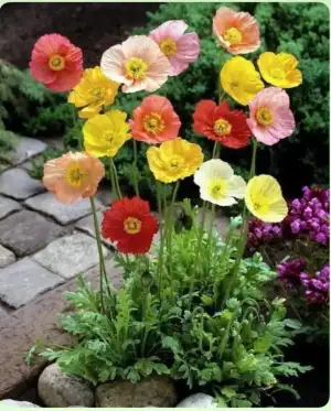IMG_20220327_071857.webp