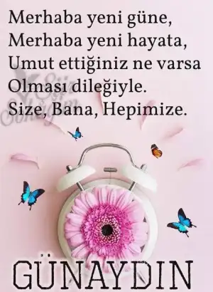images (41).webp