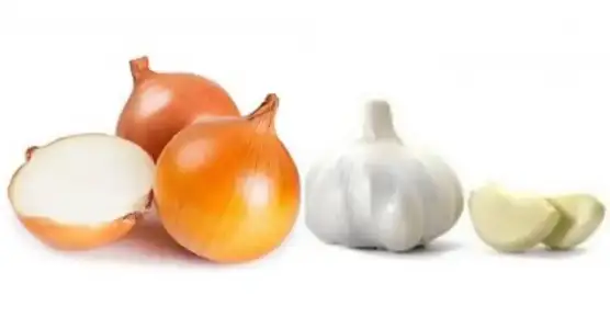 sogan_sarimsak_sivrisinek_isirigi.webp
