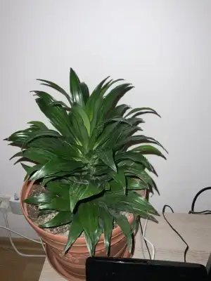 F08D1BE5-C0B5-460F-B5E2-72C0B39F0AD7.webp