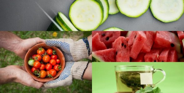 Güneş koruyucu faydaları olan 5 besin