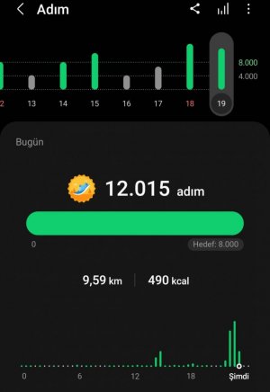 Screenshot_20220619-234336_Samsung Health.jpg