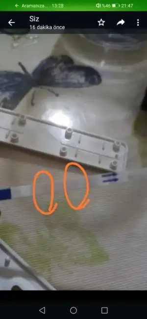 Screenshot_20220625_214717_com.fmwhatsapp.webp