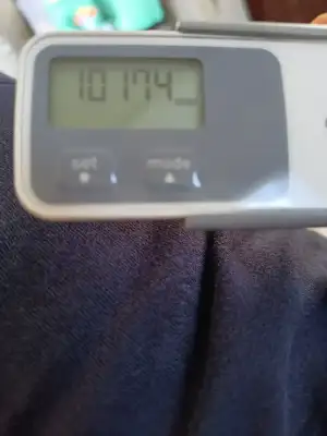 16565182504568789805490659610011.webp