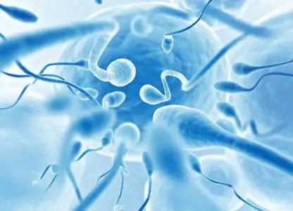 sperm_sekli.webp