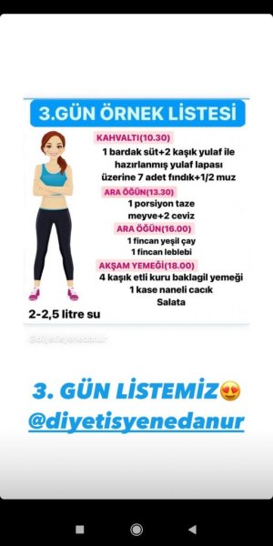 3.gün örnek liste.jpg