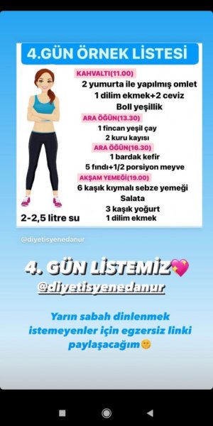 4.gün örnek liste.jpg