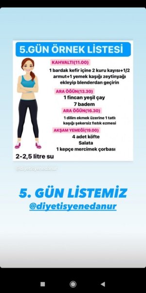 5.gün örnek liste.jpg