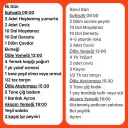 İki günlük telafi diyeti.webp