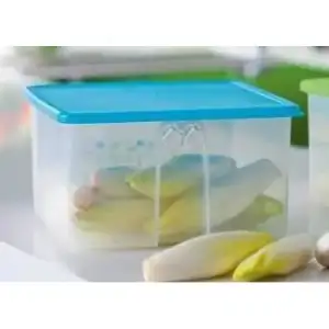 $TUPPERWARE-TINI-MINI-HANIM-4-2-LT-FIRSAT-URUNU__56467300_0-500x500.webp