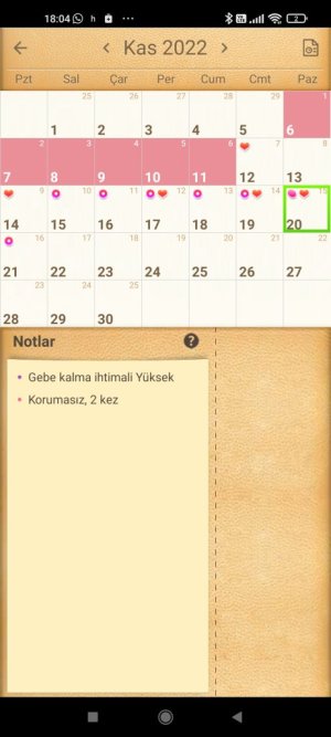 Screenshot_2022-11-20-18-04-51-037_com.popularapp.periodcalendar.jpg