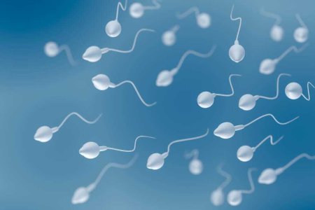 sperm_kalitesi_kisirlik.jpg