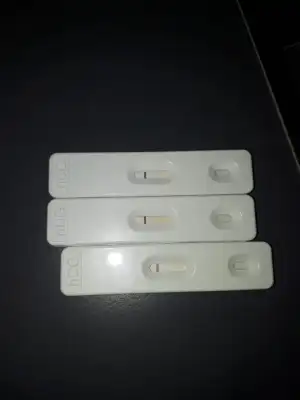 20221226_185342.webp