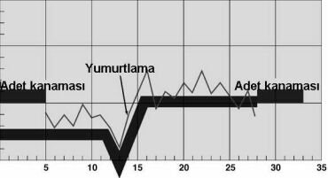 yumurtlama-354.jpg