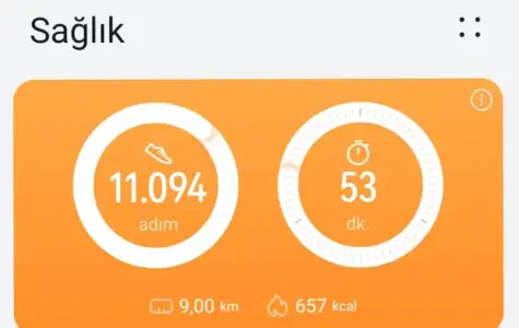 Screenshot_20230118_202054_Huawei Health.webp