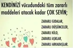 1675060252046.webp