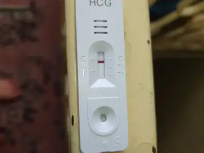1675941321828771991616747542775.webp