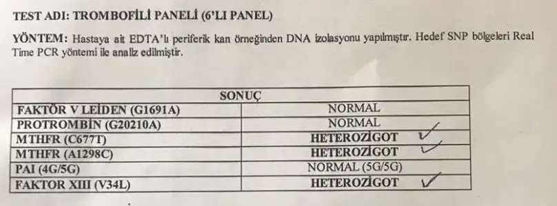 Ekran Alıntısı.webp