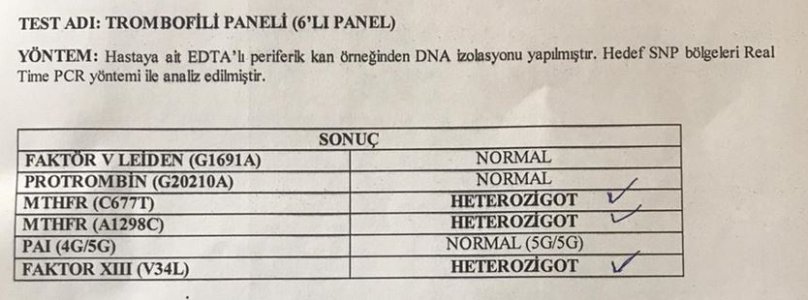 Ekran Alıntısı.JPG