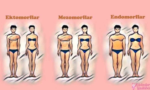 endomorf_vs_endomorf_vs_mezomorf_vucut_tipine_gore_diyet.jpg