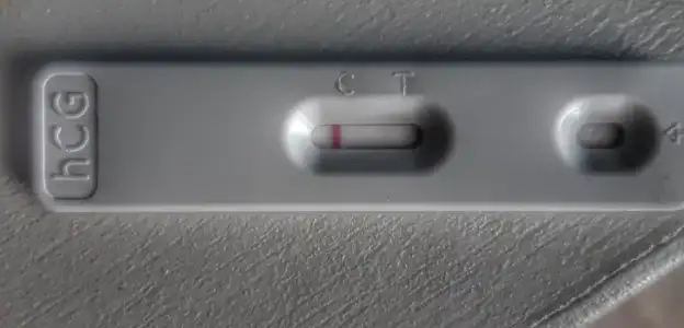 20230301_133342-02.webp