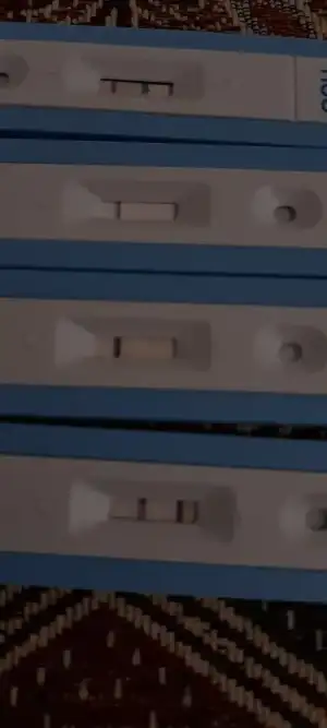 16777727445436982168958760054945.webp