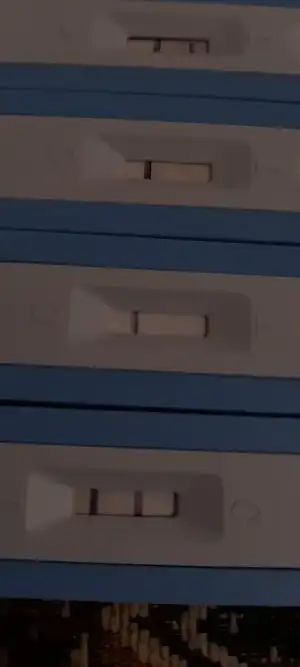 16777765292476504195266362814121.webp