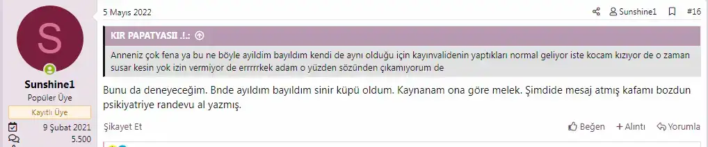 222.webp