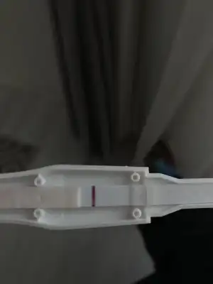 063C4D38-31F8-4B33-8CA0-5CF90FE77CE1.webp