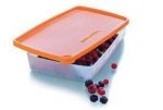 $TUPPERWARE-ANTARTIKA-MNI-SET-EN-IDEAL-BOYLAR__60318527_0.jpg