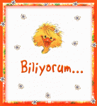 $biliyorum20dz.gif