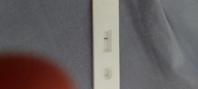 16867464955833791830726978585335.webp
