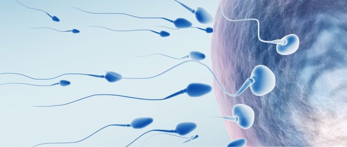 Spermde Şekil Bozukluğu Nedir, Nasıl Tedavi Edilir.jpg