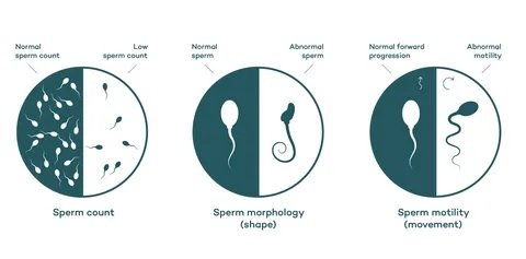 Sekonder İnfertilite.jpg