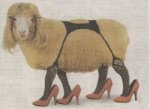 $sexy_sheep.jpg