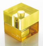 $shiseido_zen_edp_spray_100ml.jpg