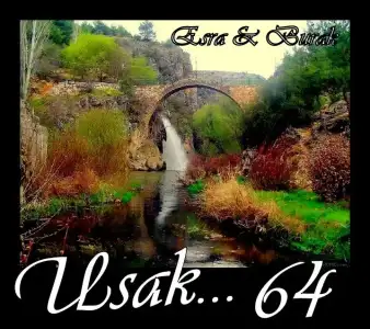 $64 U&#350;AK.webp