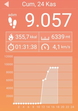 Screenshot_20231124_175929_Pedometer.jpg