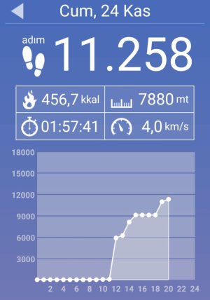 Screenshot_20231124_192338_Pedometer.jpg