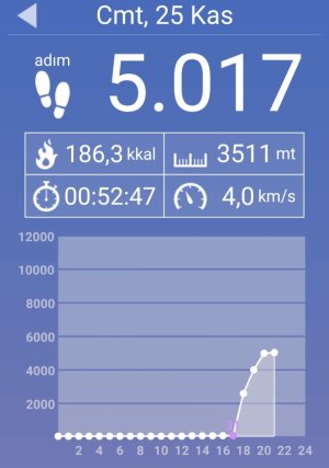 Screenshot_20231125_204901_Pedometer.jpg