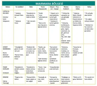 $MARMARA-2.webp