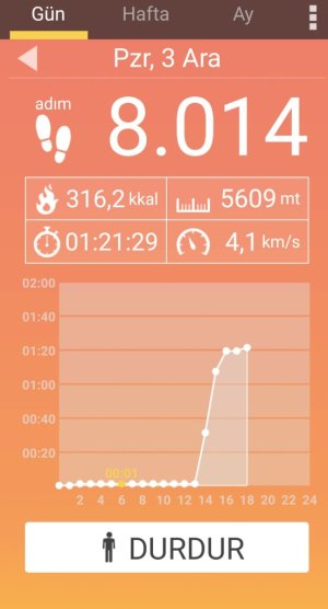 Screenshot_20231203_174635_Pedometer.jpg