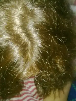 $12092012228.webp