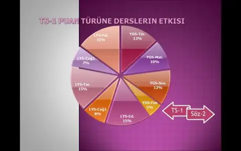 $ts1-puan-turune-gore-dersler.webp