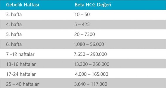 beta-hcg-2.jpg