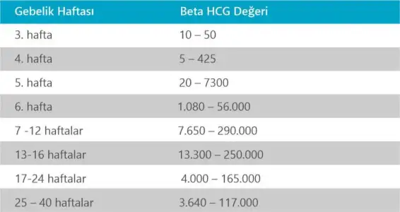 beta-hcg-2.webp