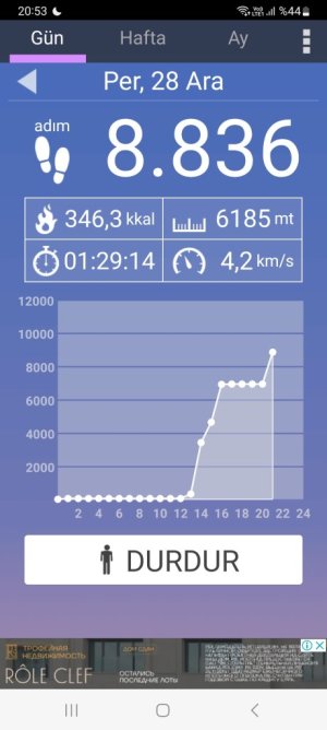 Screenshot_20231228_205358_Pedometer.jpg