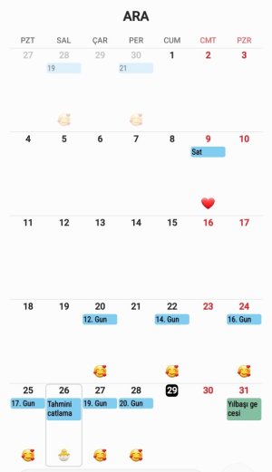 Screenshot_20231229_005811_Calendar.jpg