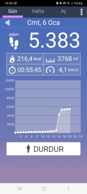 Screenshot_20240106_193412_Pedometer.jpg