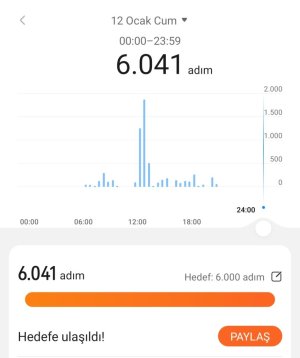 Screenshot_20240112_204656_Huawei Health.jpg